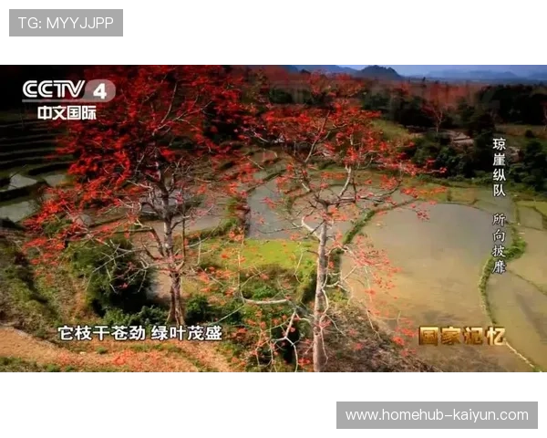 赛事执行手册在本季度实现数字化动态更新 确保岗位指令下达无偏差 赛事执行手册在本季度实现数字化动态更新 确保岗位指令下达无偏差